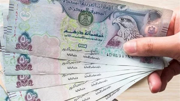 سعر الدرهم الإماراتي مقابل الجنيه المصري بتاريخ 31 يوليو 2025 سعر الدرهم الإماراتي مقابل الجنيه المصري بتاريخ 31 يوليو 2025