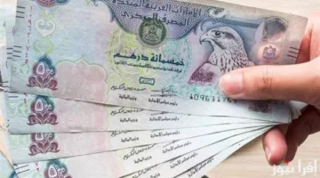 سعر الدرهم الإماراتي مقابل الجنيه اليوم السبت 26 يوليو 2025 في المصارف