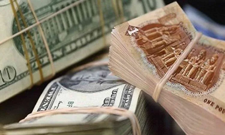 سعر الدولار مقابل الجنيه المصري اليوم الأحد: تراجع تاريخي للعملة الأمريكية سعر الدولار مقابل الجنيه المصري اليوم الأحد: تراجع تاريخي للعملة الأمريكية