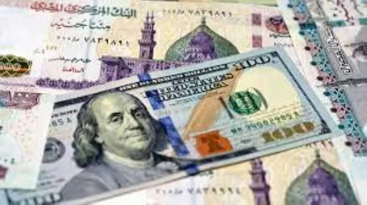 سعر الدولار مقابل الجنيه المصري اليوم: تداولات صباح يوم الجمعة 18 يوليو