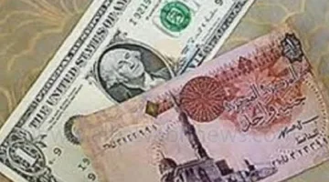 سعر الدولار مقابل الجنيه اليوم الاثنين خلال منتصف التداولات