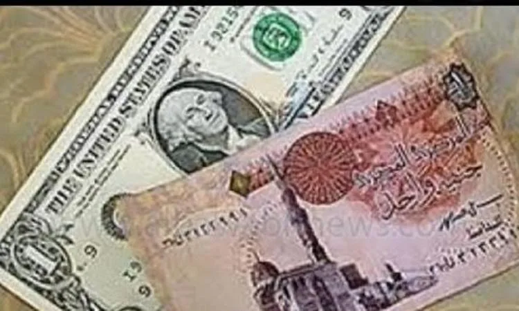 سعر الدولار مقابل الجنيه اليوم الاثنين خلال منتصف التداولات سعر الدولار مقابل الجنيه اليوم الاثنين خلال منتصف التداولات