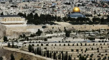 سلطنة عمان تعبر عن تقديرها وترحيبها بالإعلان التاريخي للرئيس الفرنسي بشأن اعتراف بلاده بفلسطين.