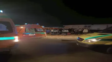 شاب يقتل والده في المنيا بضربة على الرأس.