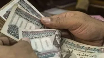 شركات القطاع العام تسهم بحوالي 6 مليارات جنيه في خزانة الدولة
