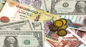 صانعو القرار في مواجهة تحدي الاختيار: التغيرات في سعر الصرف وتأثيرها على الاستثمار المستقبلي