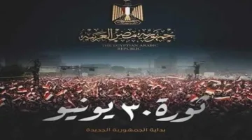 صحفي: ثورة 30 يونيو أنقذت مصر من الوقوع في أزمات خطيرة