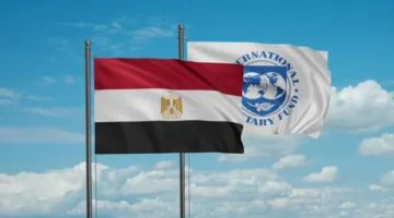 صندوق النقد الدولي يتوقع أن تُقدِم مصر على بيع أصول تبلغ قيمتها 3 مليارات دولار خلال السنة المالية الحالية.