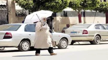 ضباب كثيف وانخفاض في درجات الحرارة.. الأرصاد تقدم تفاصيل الطقس للستة أيام القادمة