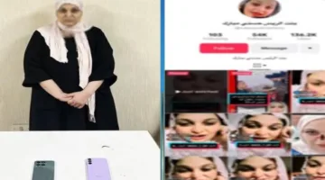 ضبط صانعة محتوى بتهمة التشهير بفنانة والادعاء بتورطها في الاتجار بالأعضاء البشرية