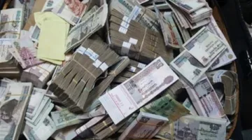 ضبط قضايا تهريب عملة بقيمة 4 ملايين جنيه
