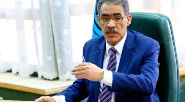 ضياء رشوان: الرئيس السيسي كان أول من تصدى لأي جهود لتهجير الفلسطينيين