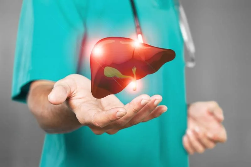 طريقة مبتكرة لعلاج أمراض الكبد دون الحاجة لزرع الأعضاء طريقة مبتكرة لعلاج أمراض الكبد دون الحاجة لزرع الأعضاء