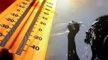 طقس حار وضباب كثيف.. الأرصاد تعلن توقعات الطقس ليوم السبت المقبل