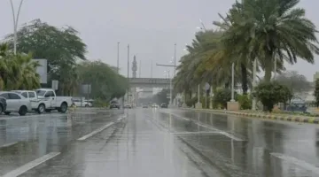 طقس عاصف: هطول الأمطار والفيضانات والرياح الشديدة في الباحة