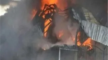 عاجل.. وفاة 5 رؤوس من الماشية في حريق حظيرة بالواحات والتحقيقات تكشف سبب حريق دبي مول