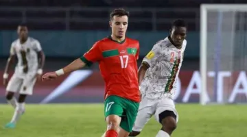عبد الحميد معالي يصل القاهرة غداً للانضمام إلى الزمالك