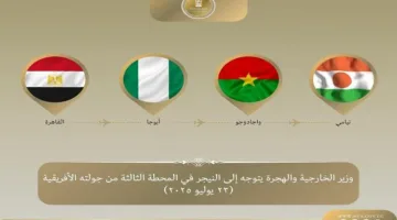 عبد العاطي يزور النيجر في محطته الثالثة بجولته في غرب إفريقيا