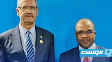 عبدالصادق يناقش مع وزير النفط العراقي سُبل التعاون في مجالات الغاز