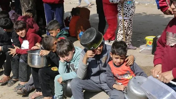 عشائر فلسطين: ضرورة إنهاء الاعتداءات على غزة وثقتنا كبيرة في الدور المركزي لمصر. عشائر فلسطين: ضرورة إنهاء الاعتداءات على غزة وثقتنا كبيرة في الدور المركزي لمصر.