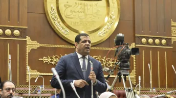 عضو برلماني: تصريحات الرئيس السيسي حول الوضع في غزة توضح دعم مصر للقضية الفلسطينية