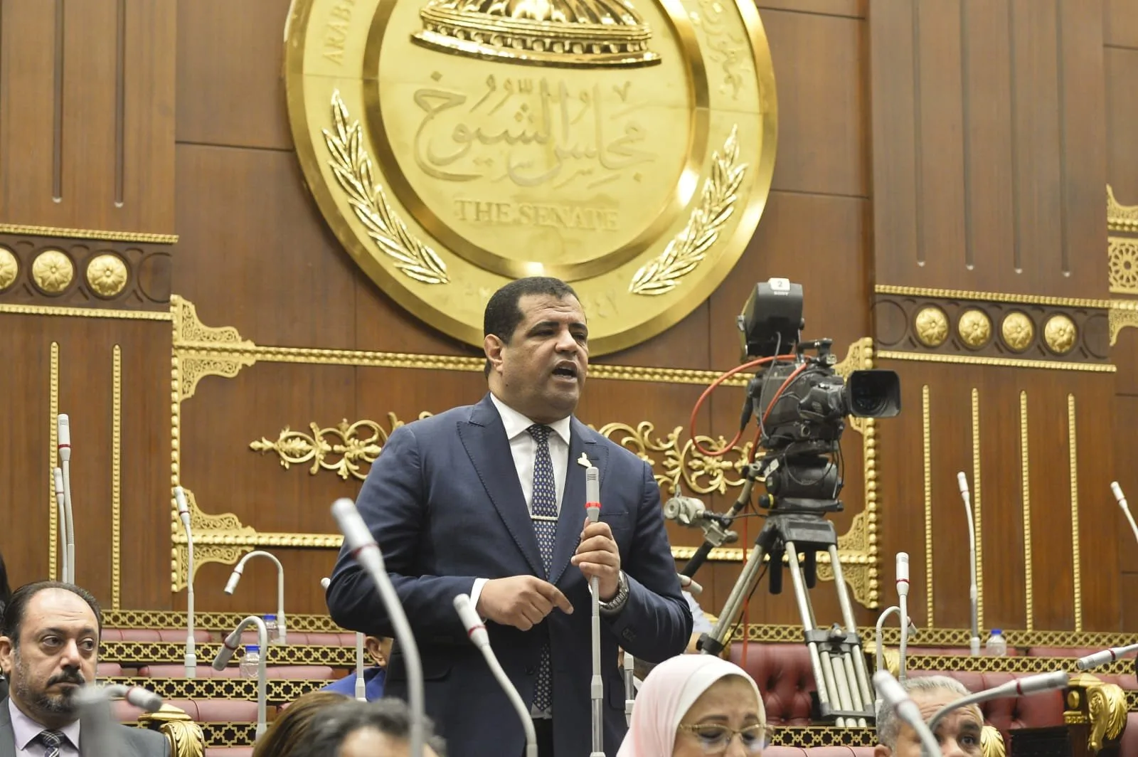 عضو برلماني: تصريحات الرئيس السيسي حول الوضع في غزة توضح دعم مصر للقضية الفلسطينية عضو برلماني: تصريحات الرئيس السيسي حول الوضع في غزة توضح دعم مصر للقضية الفلسطينية