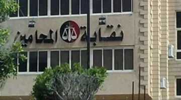 على طريقة دراكولا.. مشاجرة بين محاميين في المنوفية تنتهي بـ”عضة على الأذن”