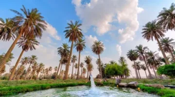 “عين نجم” تشرق على آفاق السياحة العلاجية… “إنسانا” تختار الأحساء كوجهتها الأولى في السعودية!