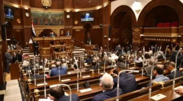 انتخابات مجلس الشيوخ: 8 مرشحين يتسابقون على مقعد فردي واحد في الوادي الجديد