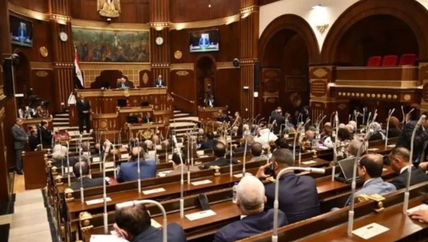 انتخابات مجلس الشيوخ: 8 مرشحين يتسابقون على مقعد فردي واحد في الوادي الجديد