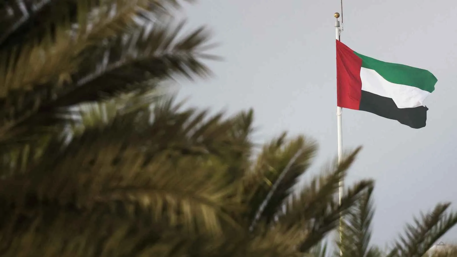 غرامات مكافحة غسل الأموال في الإمارات تتخطى 11.4 مليون دولار خلال نصف عام