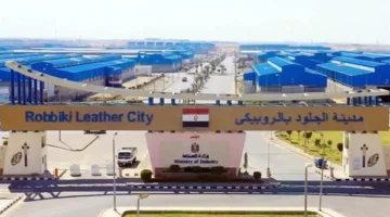 فرص استثمارية في مدينة الجلود بالروبيكي: لا تفوت الفرصة قبل إغلاق التسجيل