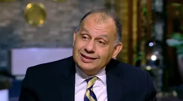 فرص مستقبلية واعدة في مجالات الزراعة، الأدوية، الملابس، والأثاث بين مصر ونيجيريا