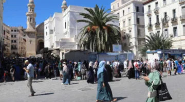 فرصة السفر في الجزائر: هل ستحد من نشاط السوق السوداء؟