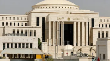«فقدان الحجة للغائب».. 104 أحزاب والغياب الجماعي.. ما الذي جرى لتنوع المشهد السياسي في مصر قبل انتخابات الشيوخ؟
