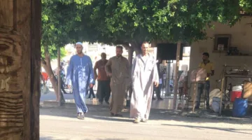 في غرفة مغلقة.. جلسة جديدة لاستئناف قضية طفل دمنهور