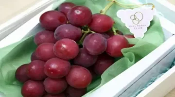 في موسمه… 5 فوائد لتناول العنب