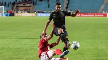 فيديو: الأهلي واحتفالات مئوية النجم الساحلي