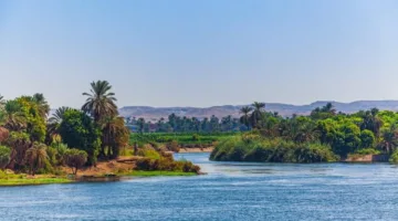 فيديو: النيل رمز الحضارة وأساس الاستقرار في مصر القديمة