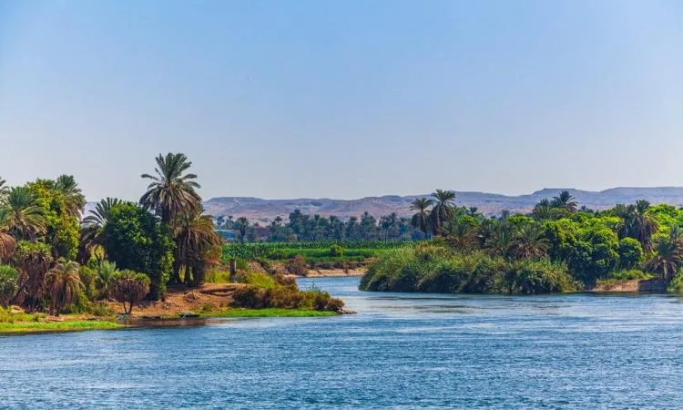 فيديو: النيل رمز الحضارة وأساس الاستقرار في مصر القديمة