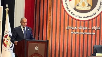 فيديو.. “الهيئة الوطنية للانتخابات” تبرز حيادتها وتوفر تسهيلات للمصريين في الخارج