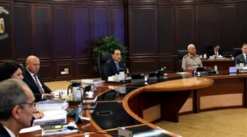 قرار حكومي يتعلق بالإعارات والإجازات للعمل في الخارج للموظفين بشركات القطاع العام.