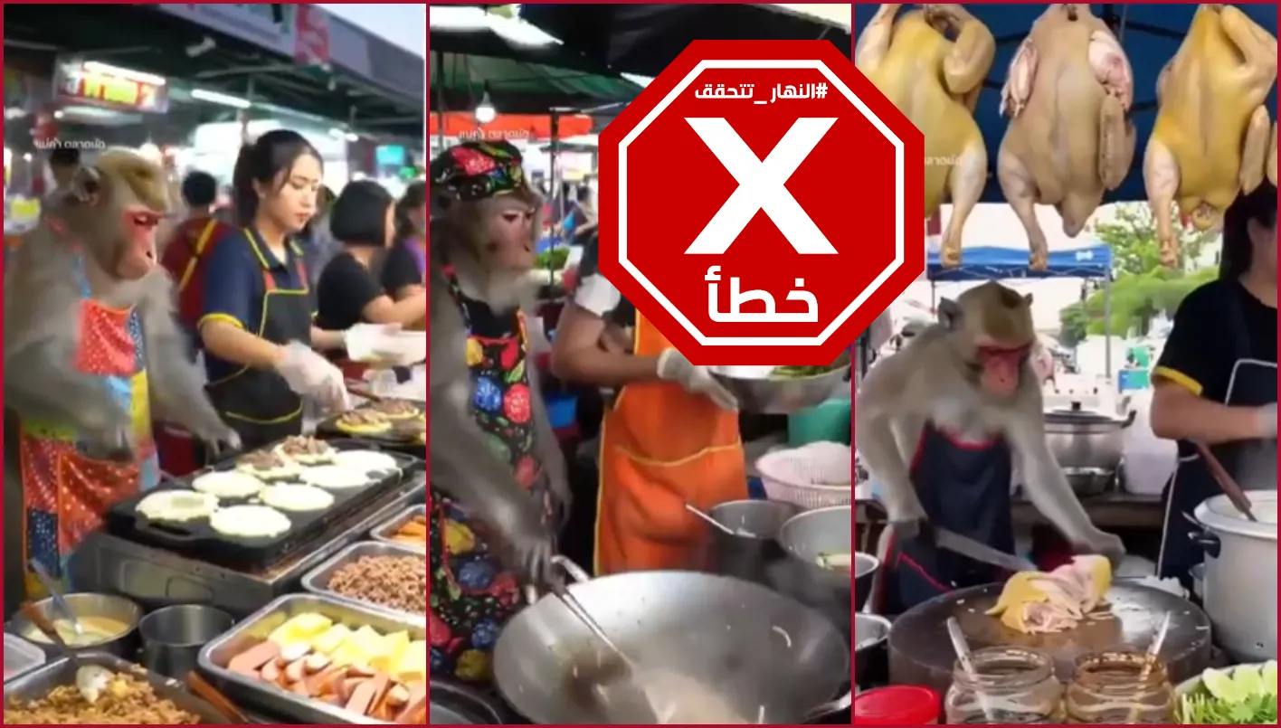 قرد بارع في استخدام السكين وتقطيع اللحم… لا تنخدعوا بهذه اللقطات #تحقق_الحقائق