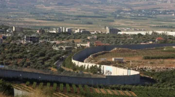 قرود من إسرائيل في جنوب لبنان! (صورة)