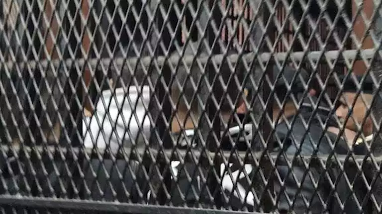 قصة “بشاير وعشيقها”: قتلت زوجها بجاتوه مسموم والحكم الإعدام في حقها قصة “بشاير وعشيقها”: قتلت زوجها بجاتوه مسموم والحكم الإعدام في حقها