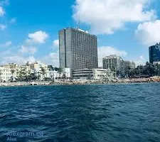 قصر القطن: تفاصيل حيوية حول أبرز فندق تاريخي في الإسكندرية