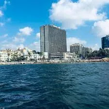 قصر القطن: تفاصيل حيوية حول أبرز فندق تاريخي في الإسكندرية قصر القطن: تفاصيل حيوية حول أبرز فندق تاريخي في الإسكندرية