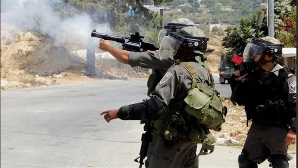 قوات الاحتلال الإسرائيلي توقف أربعة فلسطينيين في نابلس قوات الاحتلال الإسرائيلي توقف أربعة فلسطينيين في نابلس