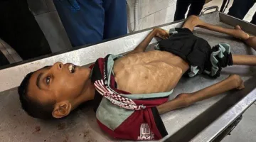 كاتبة إسرائيلية تعبر عن استنكارها: نحن نشاهد برامج الطهي بينما يعاني أطفال غزة من الجوع.