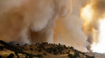 كاليفورنيا تواجه أضخم حرائق هذا العام وتترقب صيفاً محفوفاً بالمخاطر